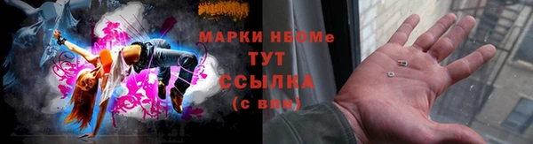 PSILOCYBIN Горно-Алтайск