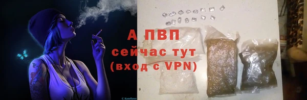 PSILOCYBIN Горно-Алтайск