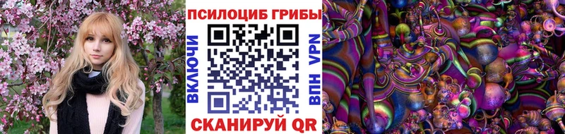 darknet состав  Гусь-Хрустальный  Галлюциногенные грибы Cubensis 