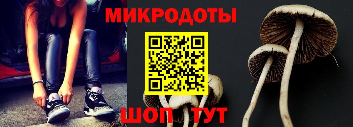 Гусь-Хрустальный  Галлюциногенные грибы Psilocybe  Вход с VPN 