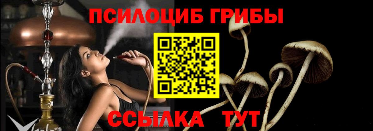 Галлюциногенные грибы прущие грибы Гусь-Хрустальный